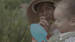 35 Rosemary Baby Stock Videos, Footage, & 4K Video Clips