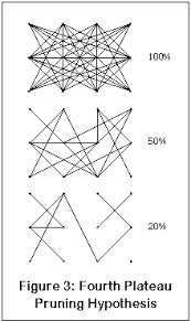 Erowid Dxm Vault Dxm Faq Physiological