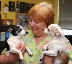 We did not find results for: Pets On Loan For The Holidays In Baltimore The Seattle Times