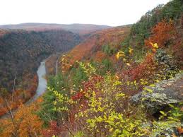 Check spelling or type a new query. Nature S Canvas Breathtaking Autumn Colors In The Pine Creek Gorge Wellsboro Places To Go Places To See