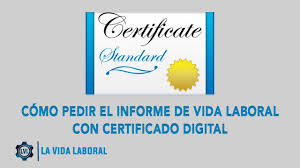 4 ¿cómo obtener el certificado digital? Como Pedir El Informe De Vida Laboral Con Certificado Digital Youtube
