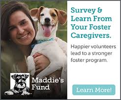 Maybe you would like to learn more about one of these? Jobs Humanepro By The Humane Society Of The United States