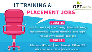 It Training Placement Jobs Entry Level Jobs Job Job Seeker