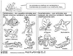 Recorto Y Aprendo 3 Vertebrados E Invertebrados Animales Vertebrados Vertebrados