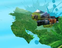 Cuando se logran visiones comunes