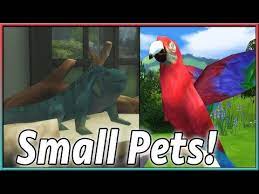 Sims 4 bird mod is handy for you to inquiry on this website. Playing Sims 4