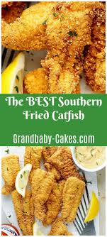 The catfish is a plenty good enough fish for anybody, as mark twain, called upon to unless you catch it yourself, you'll be eating farmed catfish, which this state produces in great quantities (22 million pounds in 2015). Southern Fried Catfish Recipe Recipe Catfish Recipes Catfish Recipe Fried Catfish Recipes