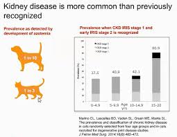 It often begins to manifest in middle age, making older cats far more at risk. Kidney Failure A New Test