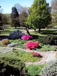 Stiftung botanischer garten solingen e.v. Botanischer Garten Solingen Aktuelle 2021 Lohnt Es Sich Mit Fotos Tripadvisor
