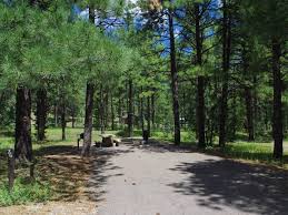 Rv parking with mountain views. Potato Patch Campground Prescott National Forest Recreation Gov