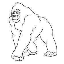 Sometimes they monkey around more than some of the other apes. Jungle Animals Online Coloring Pages Page 1 Animal Template Coloring Pages Jungle Animals