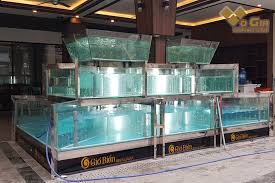 Cách nuôi hải sản tươi sống - Võ Gia Group - Nhà Thi Công Tổng Thể Về Kính