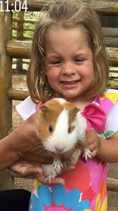 QUE FOFURA! A influencer Virginia Fonseca compartilhou uma nova foto da  filha do meio, Maria Flor, de 2 anos. A menina apareceu brincando com um  porquinho-da-índia ao visitar uma fazendinha com sua