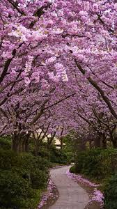 4k wallpapers of spring for free download. Free Download 25 Spring Iphone Wallpapers 750x1334 For Your Desktop Mobile Tablet Explore 50 Spring Wallpaper For Iphone Free Hd Spring Wallpaper Free Spring Wallpaper For Ipad Springtime Wallpaper For Ipad