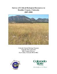 Image result for Sorghastrum fuscescens