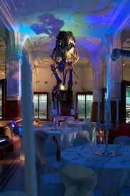 The Manchester Museum Is A Fascinating Venue For A Wedding This Grade 2 Listed Building Offers Flexi Jurassic Wedding Dinosaur Wedding Atlanta Wedding Venues