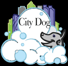 Affordable pet grooming 750 n maclay ave san fernando ca 91340. Dog Teeth Cleaning In Downtown San Diego Qualified Pet Dental