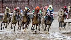 Whether you have a science buff or a harry potter fa. Twenty Horse Racing Questions For National Trivia Day America S Best Racing