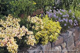 The sample flower bed shown in this example consists of two rows of annuals and perennials in the front and a staggered row of taller plants (mainly shrubs) in the back. Beautiful Stone Raised Garden Beds Garden Gate