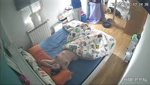 Spy masturbation - video 26 - ThisVid.com