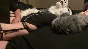 FURRY WHUSKY BOY GETS FUCKED RAW & VIBED (Murrsuit) - Free Porn Videos -  YouPorn