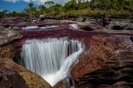 The closest town to caño cristales is la macarena, colombia. Cano Cristales In Kolumbien Das Ist Der Schonste Fluss Der Welt