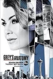 Voir donnant donnant en streaming. Regarder Grey S Anatomy Saison 14 Episode 2 Streaming Vf Vostfr Gratuit