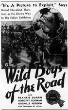 Wild Boys of the Road (1933) movie posters