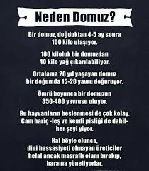 Migros Domuz Domuzeti Et Haram Bozkurt Anitkabir Nutuk Erdogan Suriye Idlib Irak 15temmuz Gezi Ingiliz Sozcu Meclis Mil Islam Bilgi Gercekler