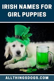 These names are stuffed with character and would make wonderful picks for a pup. Irish Dog Female Names Colourhaze De
