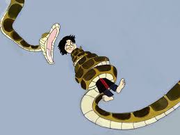 قطيع البقر في المنام : Kaa Coils Boys Shefalitayal