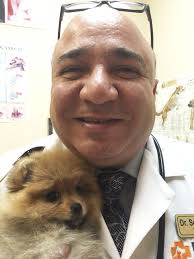 Pet loss at home reviews. Pet Home Euthanasia Service In Los Angeles Orange County Riverside