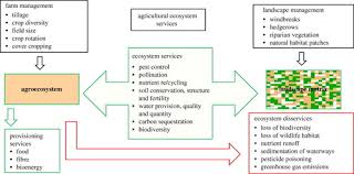 Pest is an acronym for political, economic, social and technological. Ecosystem Services And Agriculture Tradeoffs And Synergies Philosophical Transactions Of The Royal Society B Biological Sciences