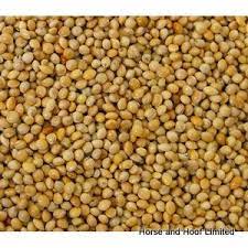 Versele Laga Yellow Millet Seeds For Caged Birds 25kg Clover Seed Seeds Nitrogen Fixation