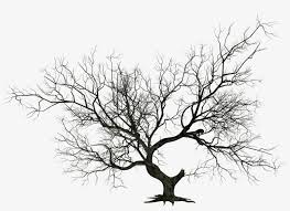 I decided we could start with a halloween tree on october 1, then change it to a thanksgiving tree in november, and finally. Png Halloween Tree Halloween Tree Clip Art Png Image Transparent Png Free Download On Seekpng