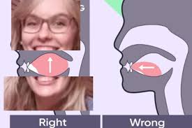 Brain Stew, 2024-25, Issue 4 by Pierre Laclede Honors College