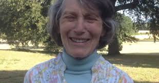 What the trees are telling me by Elizabeth Rapp