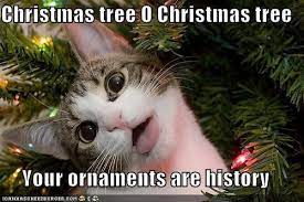 Christmas Tree O Christmas Tree Your Ornaments Are History Christmas Memes Funny Funny Cats Funny Animals