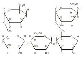 Image result for Cyamopsis