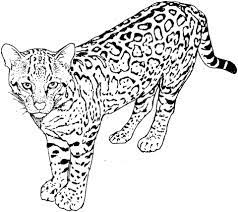 Maybe you would like to learn more about one of these? Leopard 5 Coloring Page Free Printable Coloring Pages Cat Coloring Page Dog Coloring Page Animal Coloring Pages