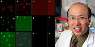 Ho named to National Academy of Inventors