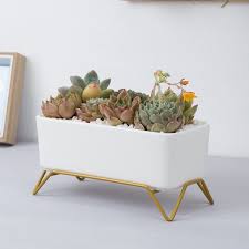 This is an easy d.i.y. White Ceramic Flowerpot With Gold Metal Stand Succulent Plant Pot Cactus Planter With Drain Hole Oval Rectangle Flower Pot Flower Pots Planters Aliexpress
