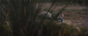 When Gone Am I The Last Of The Jedi Will You Be The Mandalorian Star Wars Jokes Mandalorian Star Wars Fandom