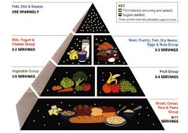 I principi nutritivi contenuti negli alimenti forniscono al nostro corpo. Piramide Alimentare Descrizione Storia Dieta Mediterranea Cure Naturali It