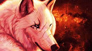 I'm a new wolf on tumblr ! Red Wolf Wallpapers Wallpaper Cave