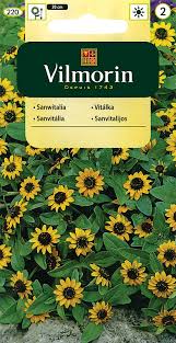 Image result for foto Vitálka