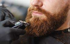 Little red hairs in my blackbeard has anyone ever noticed red hairs in their beard, but your hair isn't red? Why Do Men Have Red Beards But Not Red Hair