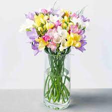 Pin On Flowers Online