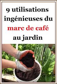 Jardinage 9 Utilisations Ingenieuses Du Marc De Cafe Au Jardin Jardinage Marc De Cafe Trucs Et Astuces Jardinage