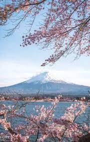 Pin On Japan